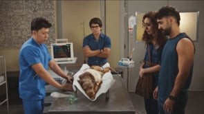 novela Família é Tudo (Globo)