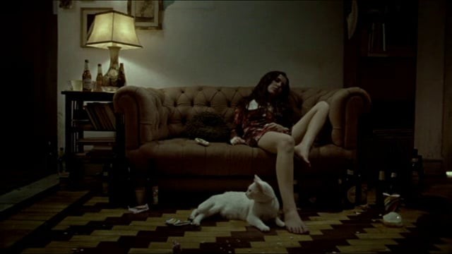 "O Nome do Gato" | Primo Filmes
