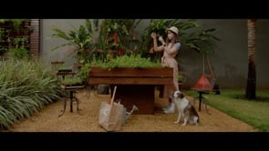 Tease do Filme Nunca te Prometi um Mar de Rosas