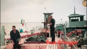 Séries policias