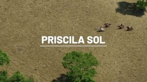 Priscila Sol