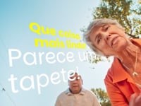 Publicidade