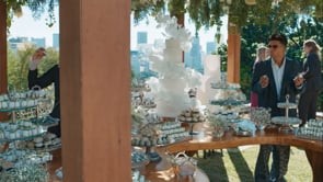 Participação em remake Vale Tudo, Rede Globo