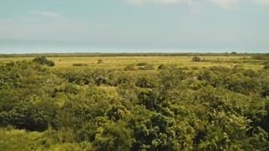 Novela Dona Beja HBOMax