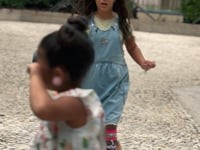 Cena em dupla - Gambá da Barra