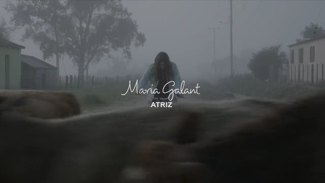 Portfólio Maria Galant