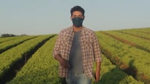 Fabiano Persi - Vídeo Governo de Minas