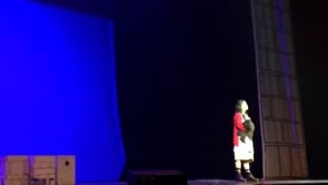 Annie o Musical da Broadway