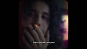Augusto Gulum (Joselo jovem) - Pico da Neblina - HBO Max