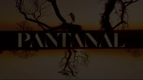 Novela Pantanal