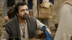 Serie REIS 2022 TV Record/Seriella