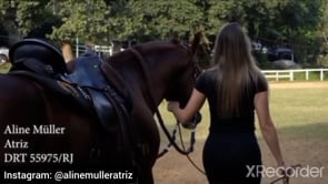 Habilidade andar à cavalo