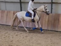 Andando de cavalo