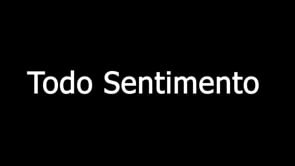 Todo o Sentimento