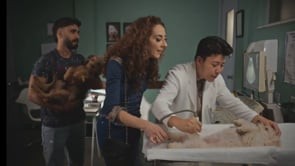 novela Família é Tudo - parte 1 (Globo)