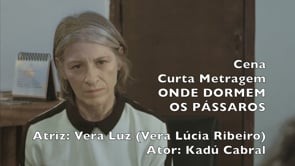 Curta ONDE DORMEM OS PÁSSAROS