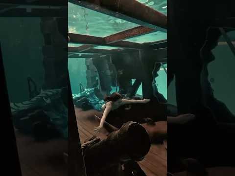 Mergulho de Sereia