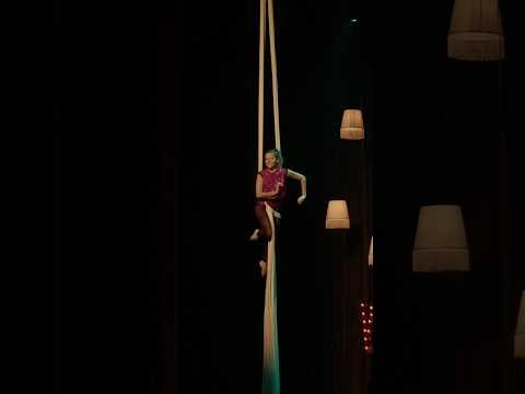 Brasileirinho - Tecido Acrobático