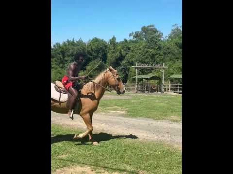 Daniel Xavier andando a cavalo