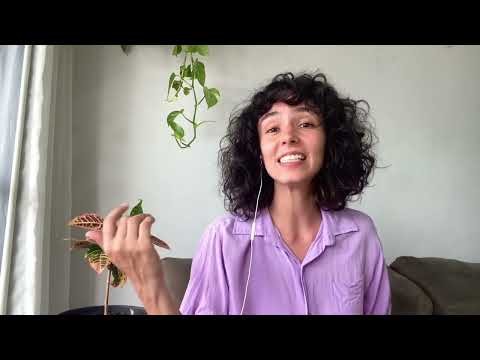 Apresentação Chris Rebello