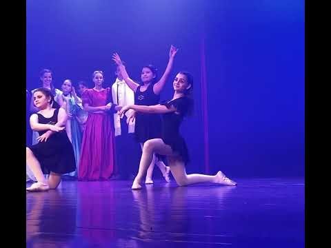 O REI DO SHOW - School Edition