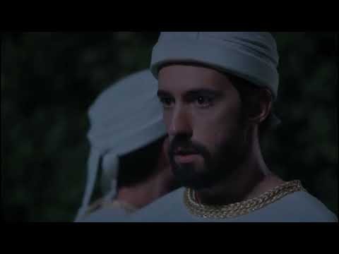 REIS- participação