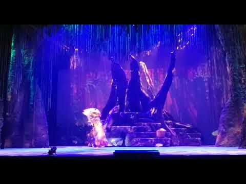 Solo Tiger Lilly - Peter Pan 2022