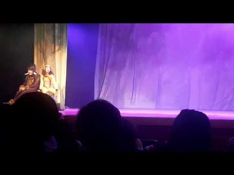 O REINO DE SIMBA - Rei Leão