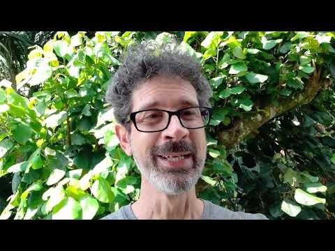 Apresentação