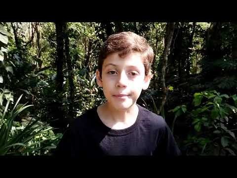 APRESENTAÇÃO LEO ALEGRIA