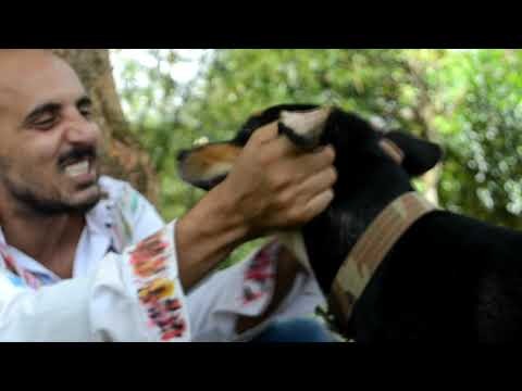 A única inocência é não pensar