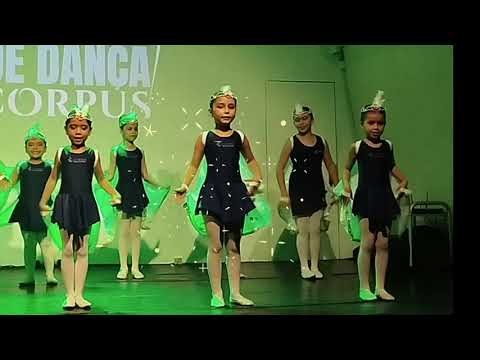 PÁSSAROS - BALLET INFANTIL