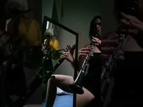 Tocando clarinete