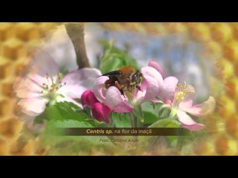 Vídeo Institucional  