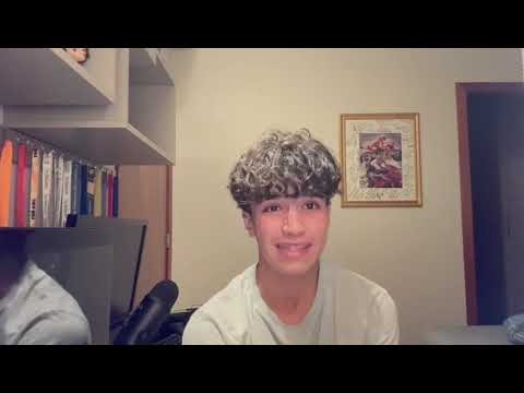 A Árvore que Virou Muro