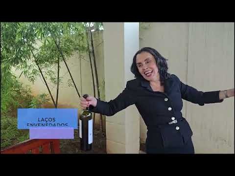 Vídeo reel