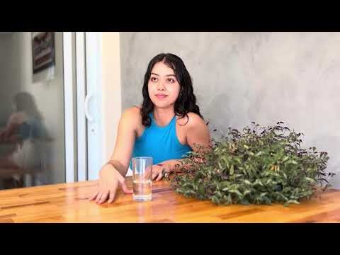 Monólogo - A voz que ficou no deserto