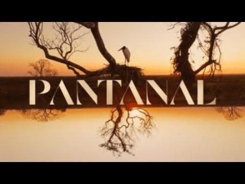 NOVELA PANTANAL