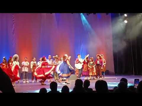 Musical Viva- A Vida é uma Festa