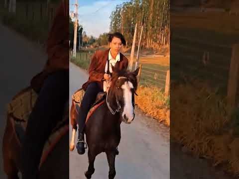 Daniele Louzada Habilidades - Cavalo