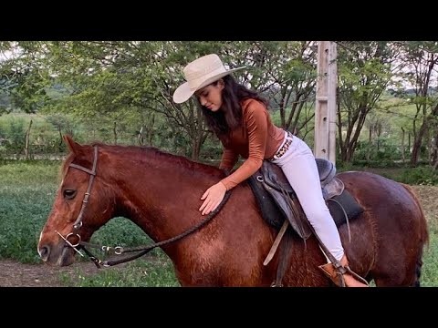 Meu disfarce-Cover