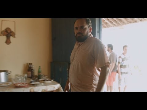 Portfólio