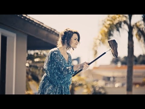 Bois, Raposas e Crocodilos