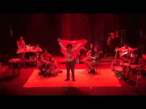 MORTE DE UM PÁSSARO por Raphael Campello