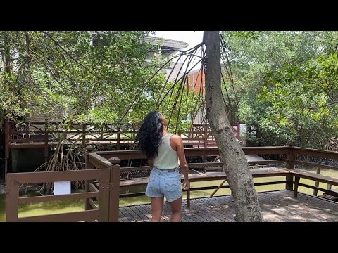 Apresentação - Quem sou eu?