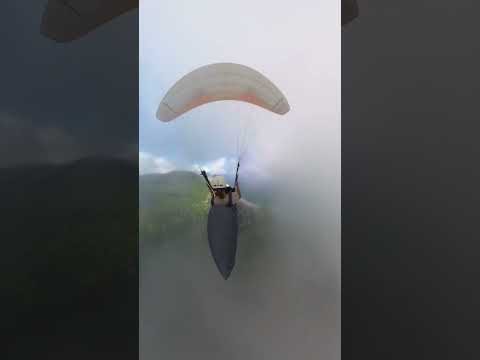 Paraglider