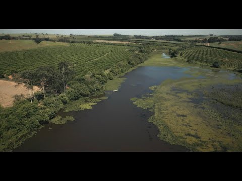 Curta metragem Pescador