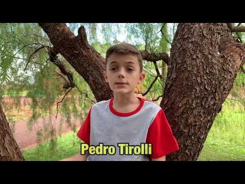 Sou Criança