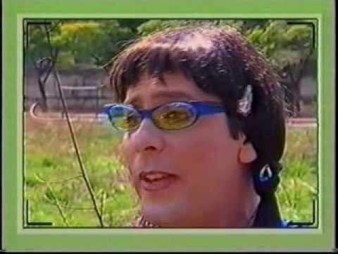 Álbum de figurinhas