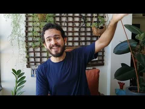 Rafa Guedes - Humor